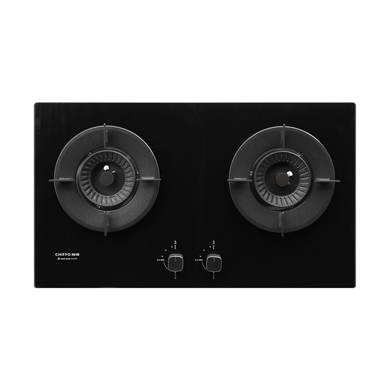 Groothandel 2-pits LPG-gaskook - Electronics & Tech Gadgets recensie en prijs